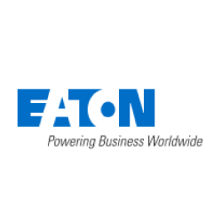 IT Services – Business Services